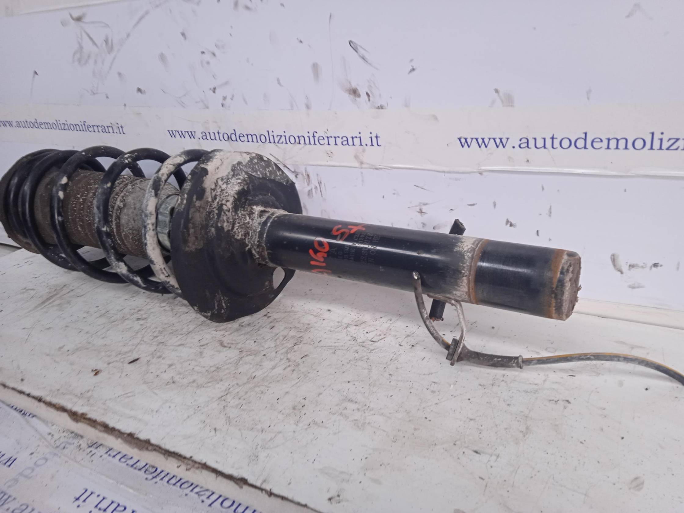 Ammortizzatore ant. sx.